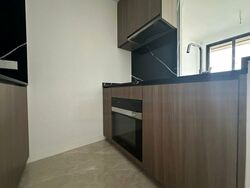 Irwell Hill Residences (D9), Apartment #479952421